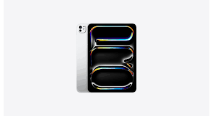 APPLE IPAD PRO 11 INCH WI-FI  256GB (M4)